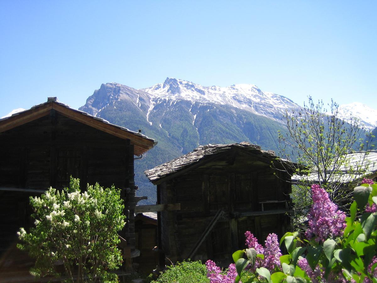 Bergquell Haus D Apartment Blatten bei Naters Exterior foto